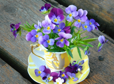 Bouquet of pansies - pretty, delicate, violets, coffee, beautiful, tea, lovely, bouquet, pansies, harmony, cup