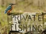 Private fishing