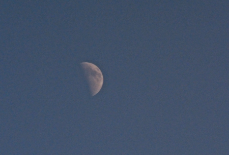 Blue Sky Moon - half moon, blue sky, moonlight, Blue Sky Moon