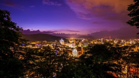 lovely cityscape in a valley at night - valley, hills, forest, night, city, lights