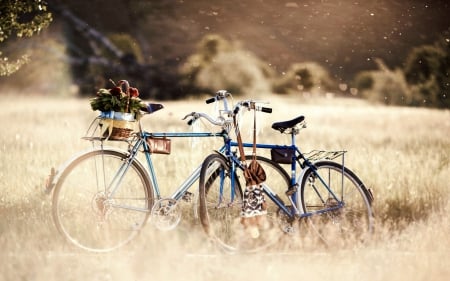 ♥ - bike, bokeh, nature, summer, splendor, field, bicycle