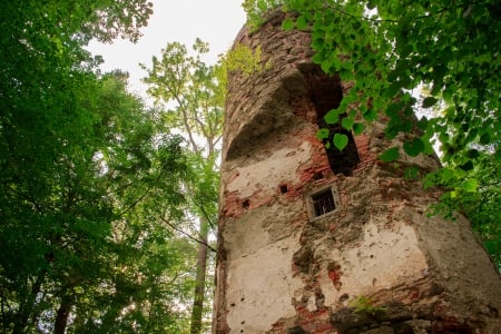 old tower - tower, wood, tree, bricks, nature, ancient, green, old, sun, sky