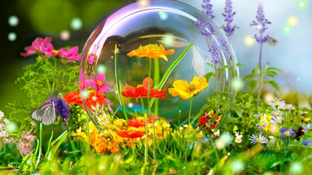 âcolorful flowersâ - walpapers, life, butterflys, flowers, colors, bubble