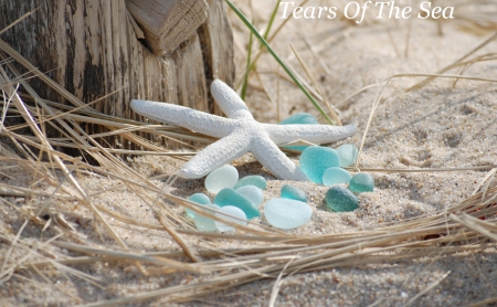 Sea Glass - starfish, glass, blue, sand, sea