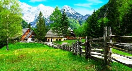 Slovenian Landscape - trees, beautiful, snowy peaks, forest, mountains, houses, fence, green grass