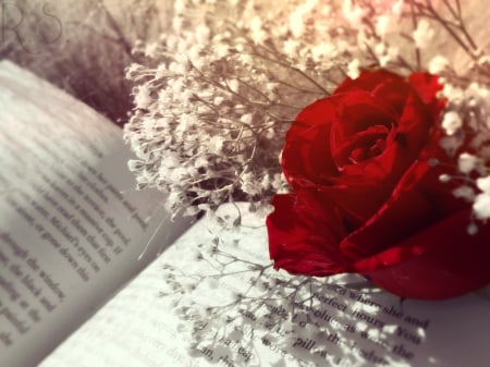 The Fume of Sighs - rose, flower, red, book