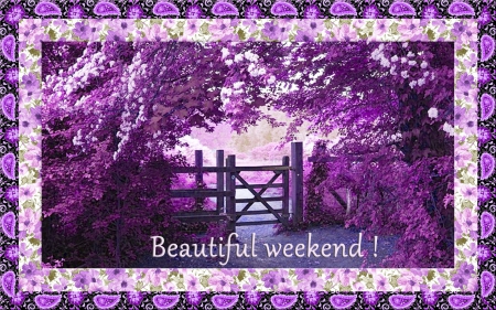 Beautiful Weekend - Viola Tricolor, trees, gate, weekend, frame, relaxing, nature, purple, border, violet