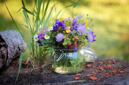 Wildflowers ✿ - purple color, nature, outdoor, in vase, wild flowers