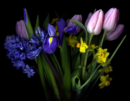 Flowers - purple, flowers, yellow, amazing, blue