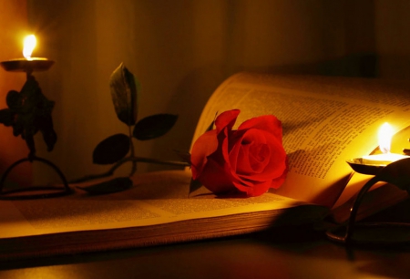 Still Life - candle, love, book, rose