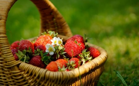 A basket of strawberry - strawberry, food, basket, fruits