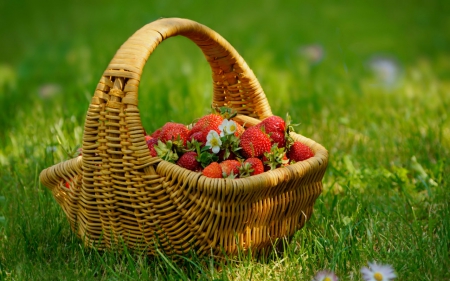 A basket of strawberries - strawberries, food, basket, fruits