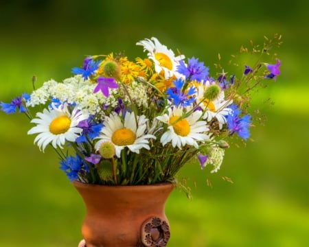 Beautiful flowers - bloom, flowers, vase, petals