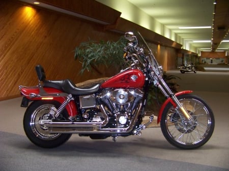 Dyna Lowrider - harley, motorcycle, bike, dyna