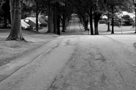 Beautiful Neighborhood - street, wealth, beautiful neighborhood, rich, scenic path, beautiful road, road