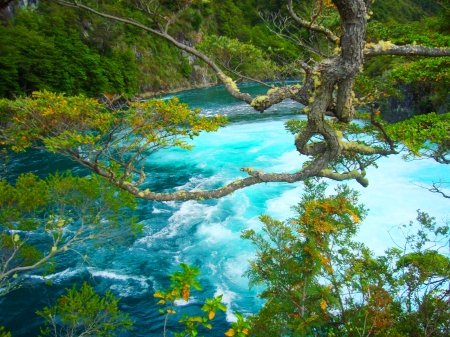 Pristine River Petrohue - trees, beautiful, forest, river, Lakes Region, green, turquoise water, Chile, mountains, foliage