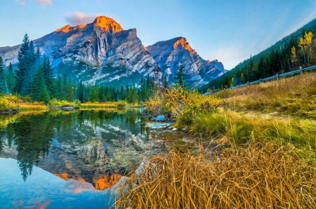 Mount Kidd Sunrise - alberta, valley, trees, water, mountains, forest, reflection, river, beautiful, canada, sunrise, grass