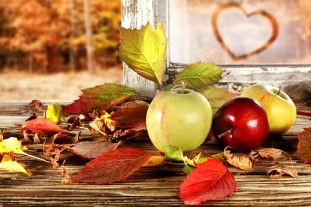 â™¥Autumn Leavesâ™¥ - autumn, window, heart, leaves, apples