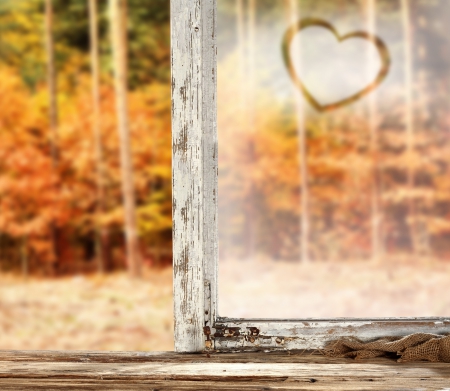 â™¥Autumnâ™¥ - wood, autumn, fall, window, forest, heart