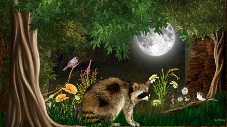 Full Moon Raccoon - moon, trees, forest, full moon, night, flowers, bird, racoon