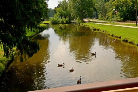 Beautiful Summer Park - summer park, fun park, lagoon, summer pond, scenic park, Beautiful Summer Park