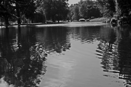 Monochrome Pond - summer pond, lagoon, black and white, scenic pond, monochrome pond