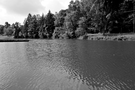 Summers Of Old - Summers Of Old, summertime, summer pond, scenic pond, old summer