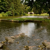 Summer Pond Scenery