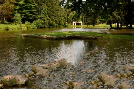 Summer Pond Scenery - sumemr scene, summer pond, scenic pond, Summer Pond Scenery, park scene