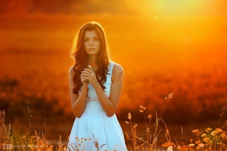 Was born a new glow - field of flowers, new light, splendor, sunset, girl