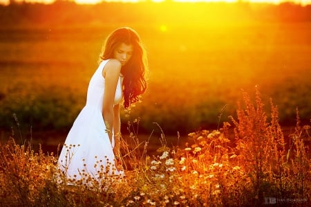 New Light - nature, girl, in field, splendor, sunset, outdoor, new light