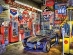Jewel of The Garage