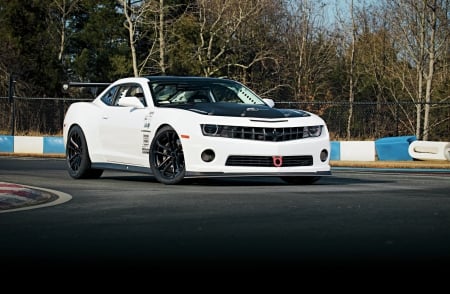 2012-Chevrolet-Camaro-SS - white, 5thgen, black hood, gm