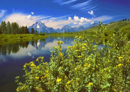 Grand Teton National Park - summer, peak, national park, beautiful, grand teton, grass, view, mountain, landscape, wildflowers, serenity, shore, lake, sky, calmness, reflection, lovely, trees, tranquil