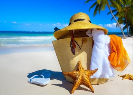 Summer - fun, palm trees, beach, sky, water, summer, bag, nature, starfish, holidays, sun hat, relaxation, blue, sea, sand