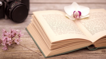 ღ。Bookღ。 - camara, book, table, flower, pink, wallpaper