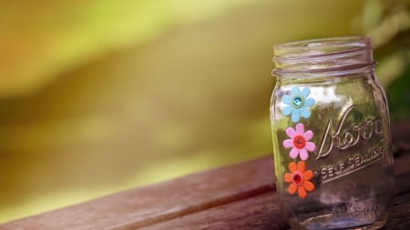 Æ¸ÓœÆ·Empty BottleÆ¸ÓœÆ· - jar, board, bank, blur, green, flowers