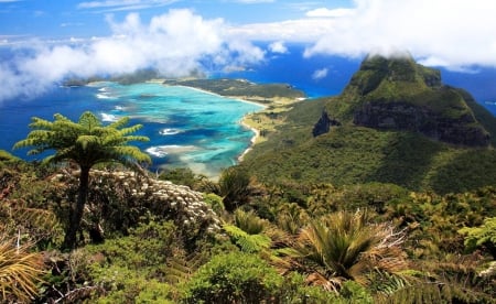 Breathtaking View - clouds, tropics, coast, palm trees, panorama, ocean, mountain