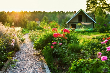 Amazing Garden - flowers, path, cabin, lawn