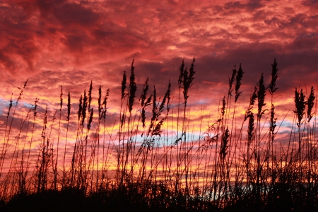 Sunset on Myrtle Beach - sky, myrtle beach, sunset, clouds