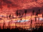 Sunset on Myrtle Beach