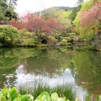 Tranquility at Buchart Gardens, BC