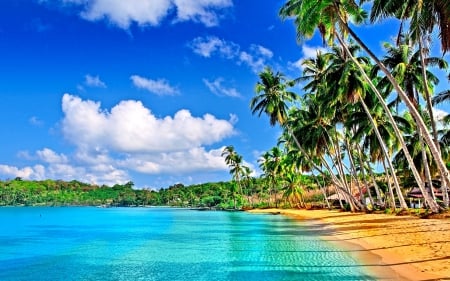 TROPICAL PARADISE - clouds, beach, splendor, blue sky, sea, seashore, palm, nature, waves, paradise