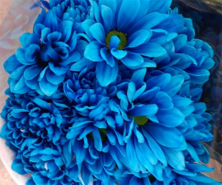 Beauteous Blues - petals, flowers, boquet, nature, blue, colorful