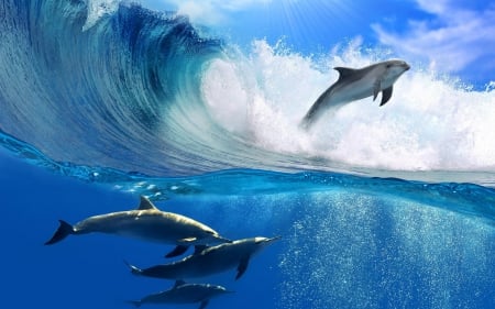 dolphins - 4, sea, blue, wave