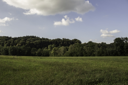 Field - fresh, nature, green, field, forest, sky, life