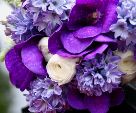 Nature's Blessings - flowers, colorful, white, nature, purple, bright, lilac