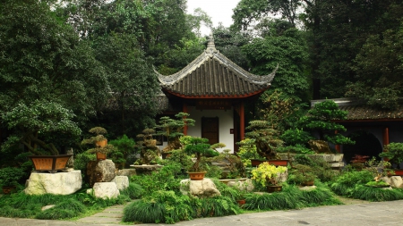 Bonsai Garden - nature, japan, oriental, tree, japanese, garden, bonsai