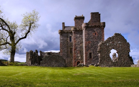 Castle in Ruins - medieval, tree, ruins, castle