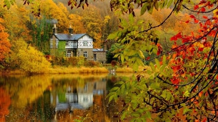 lakeshore house - house, trees, shore, autumn, lake, reflection